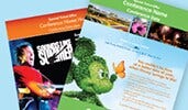 A sampling of professional looking, Disney themed meeting fliers